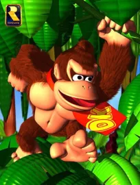 Donkey Kong Country Artwork