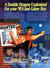 Double Dragon II: The Revenge Artwork