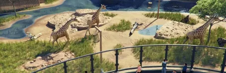 Zoo Simulator Artwork