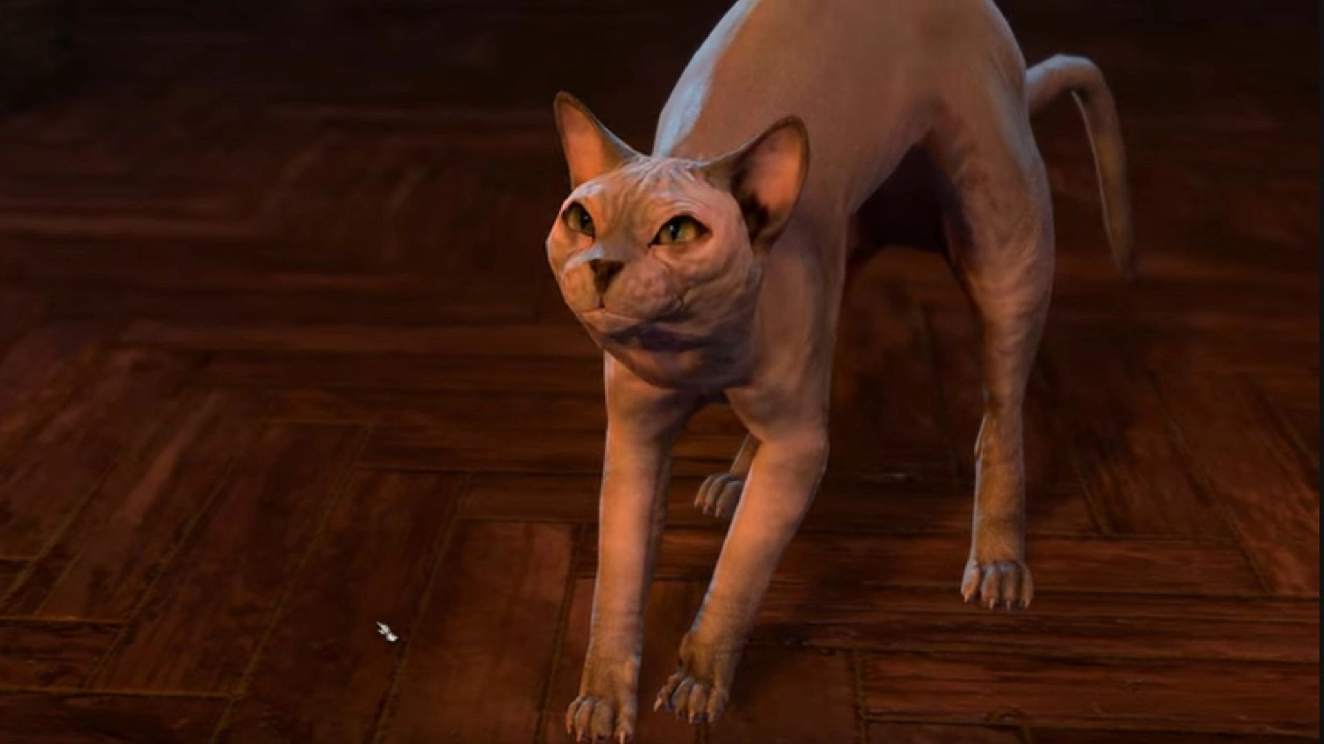 Comically Criminal Cat Nabbed in Notorious Baldur’s Gate 3