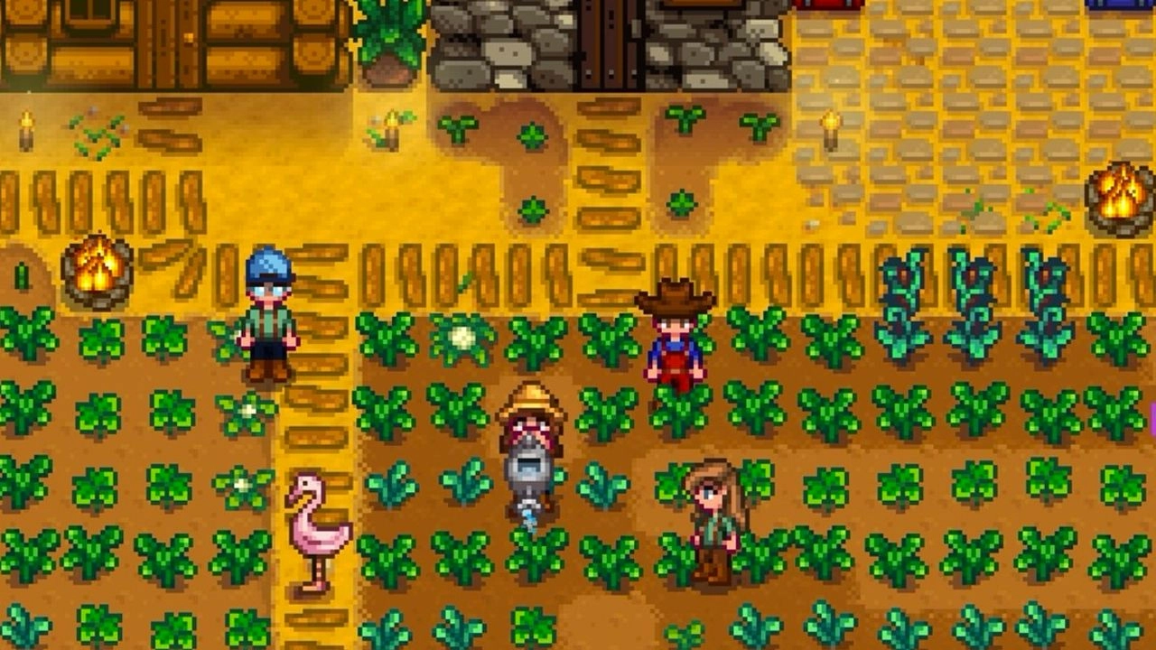 Stardew Valley Fans Petition for More Pronoun Options
