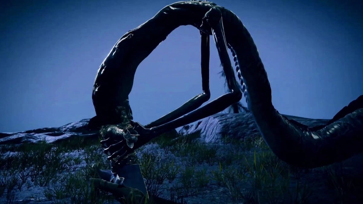 Let Me Solo Her Considers Retirement Post DLC