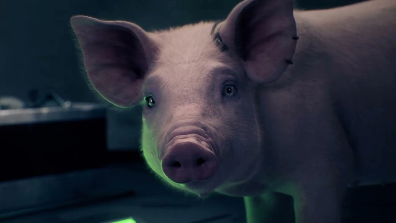 Sci-Fi RPG Exodus Sparks Widespread Excitement