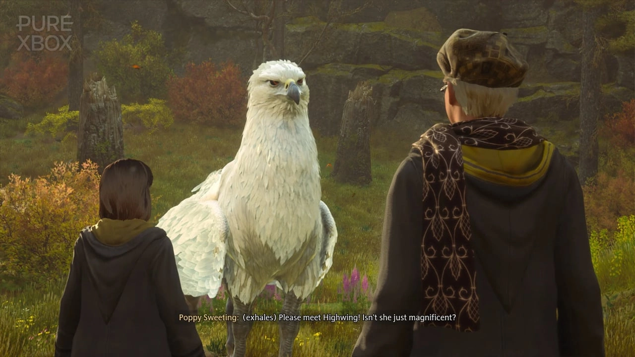 Hogwarts Legacy to Add Free Content This Summer