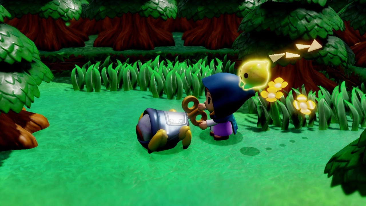 Zelda: Echoes Of Wisdom Highlights Classic Character