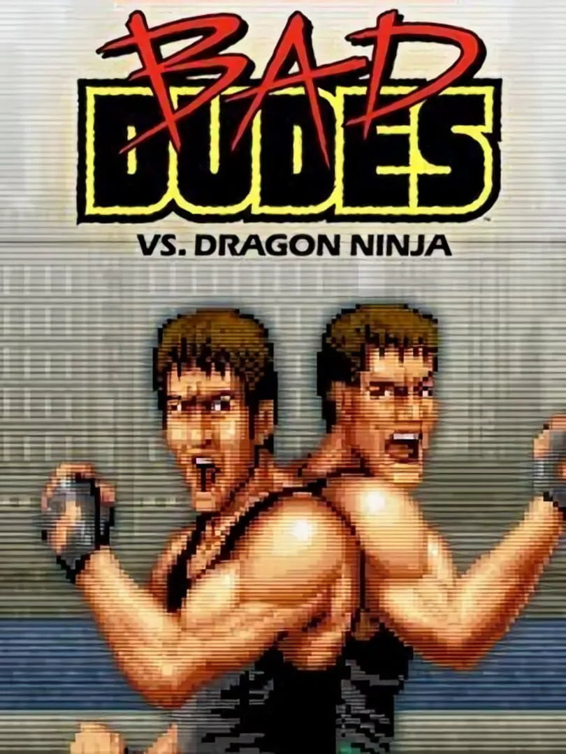 Bad Dudes vs. Dragon Ninja Box Art