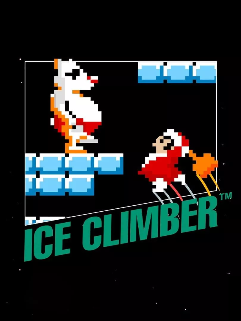 Ice Climber Box Art