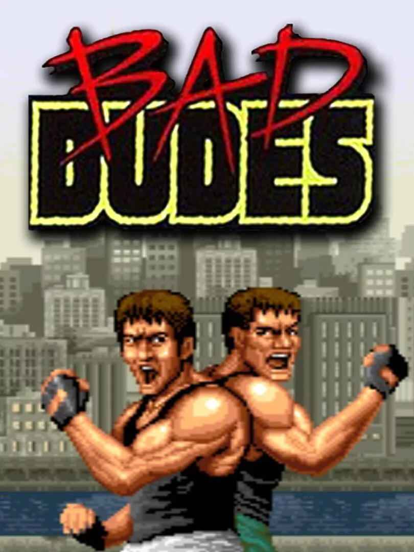 Johnny Turbo's Arcade: Bad Dudes Box Art