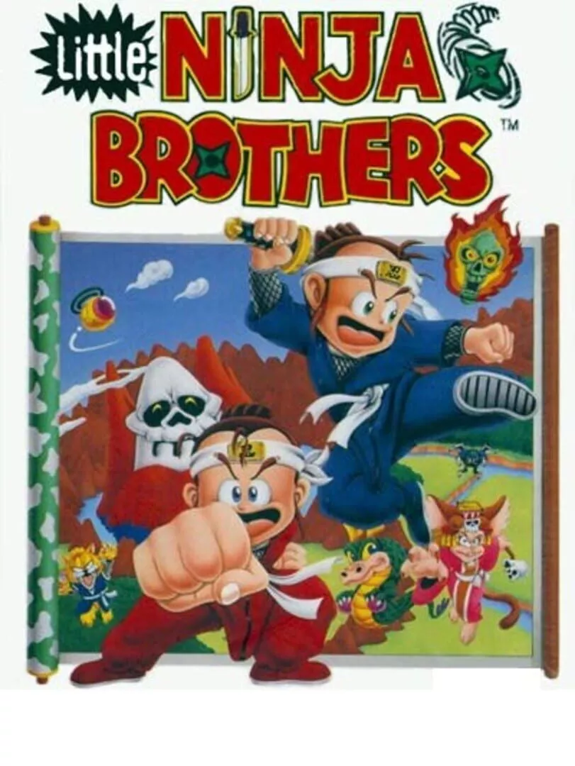 Little Ninja Brothers Box Art