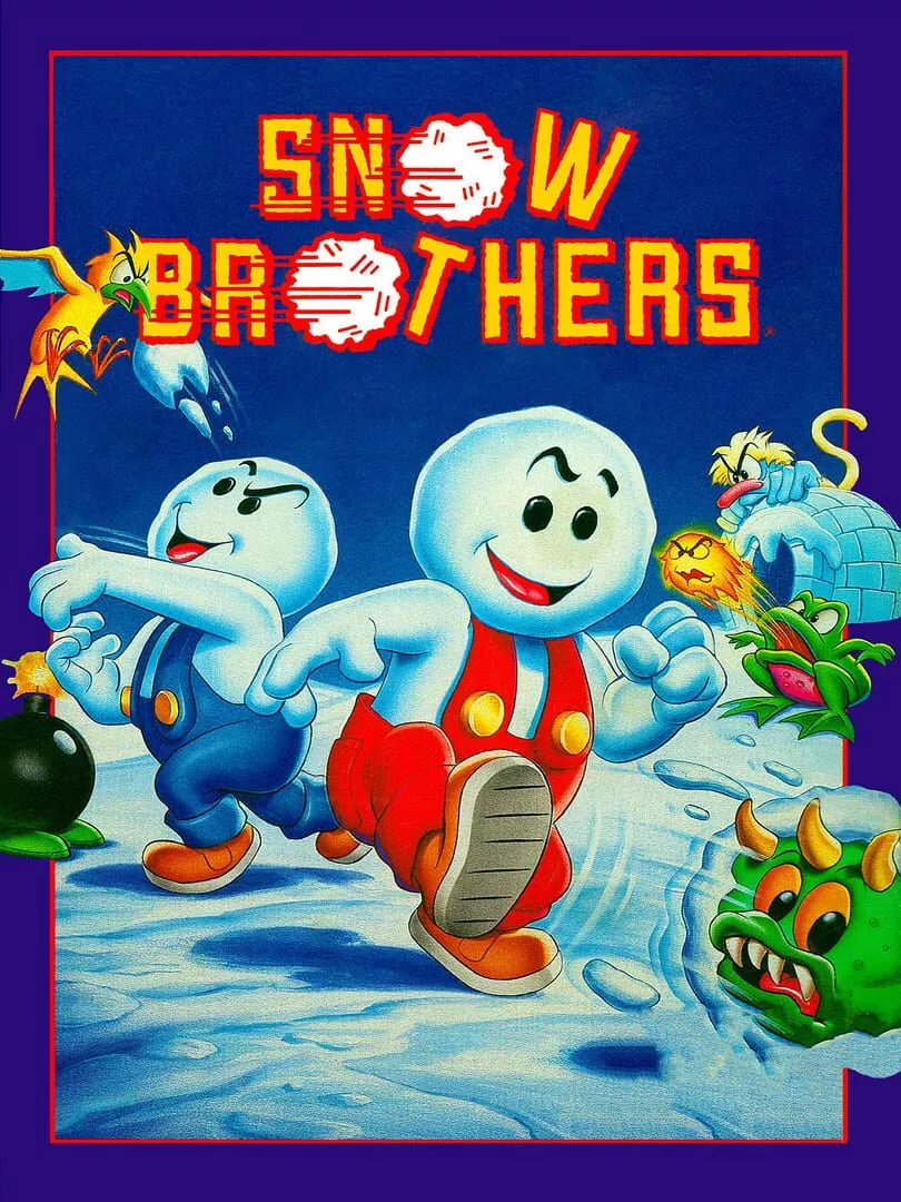 Snow Brothers Box Art