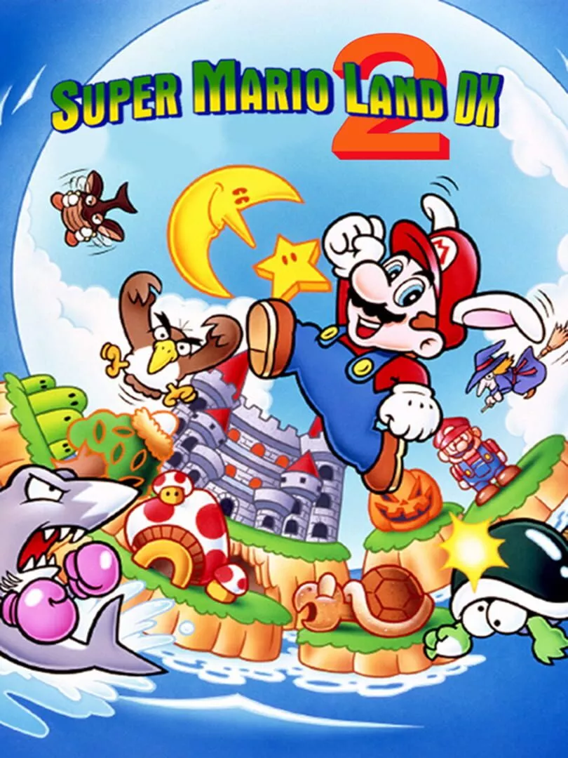 Super Mario Land 2 DX Box Art