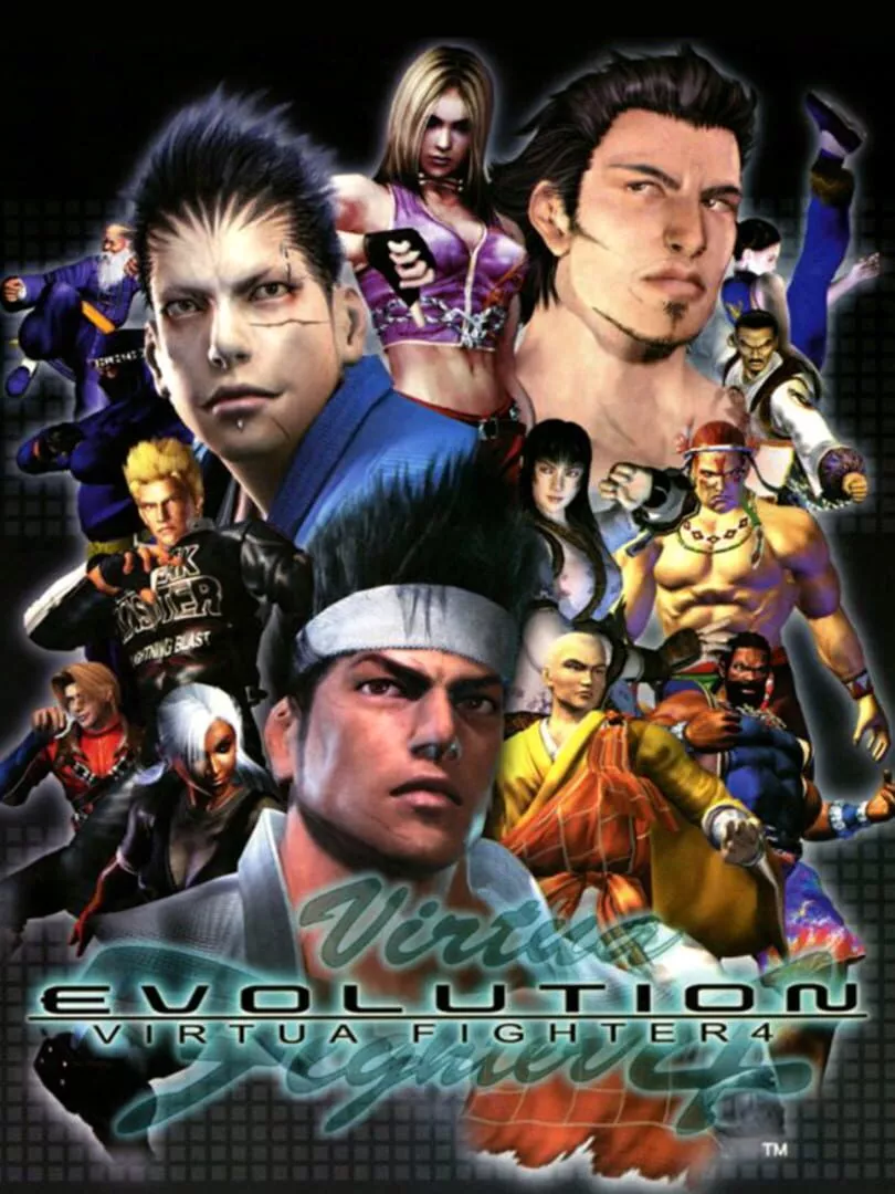 Virtua Fighter 4: Evolution Box Art